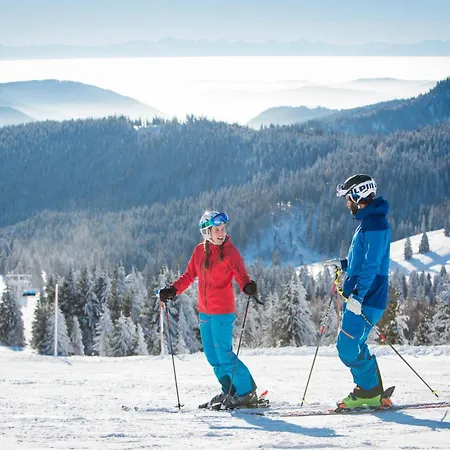 Haus Tannenberg Heidi Todtnau