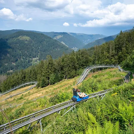 Haus Tannenberg 3* Todtnau