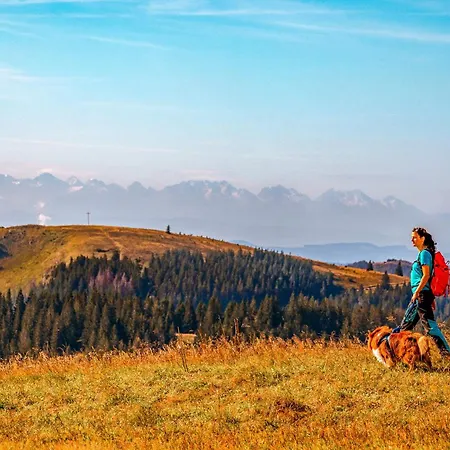 Affittacamere Haus Tannenberg Todtnau
